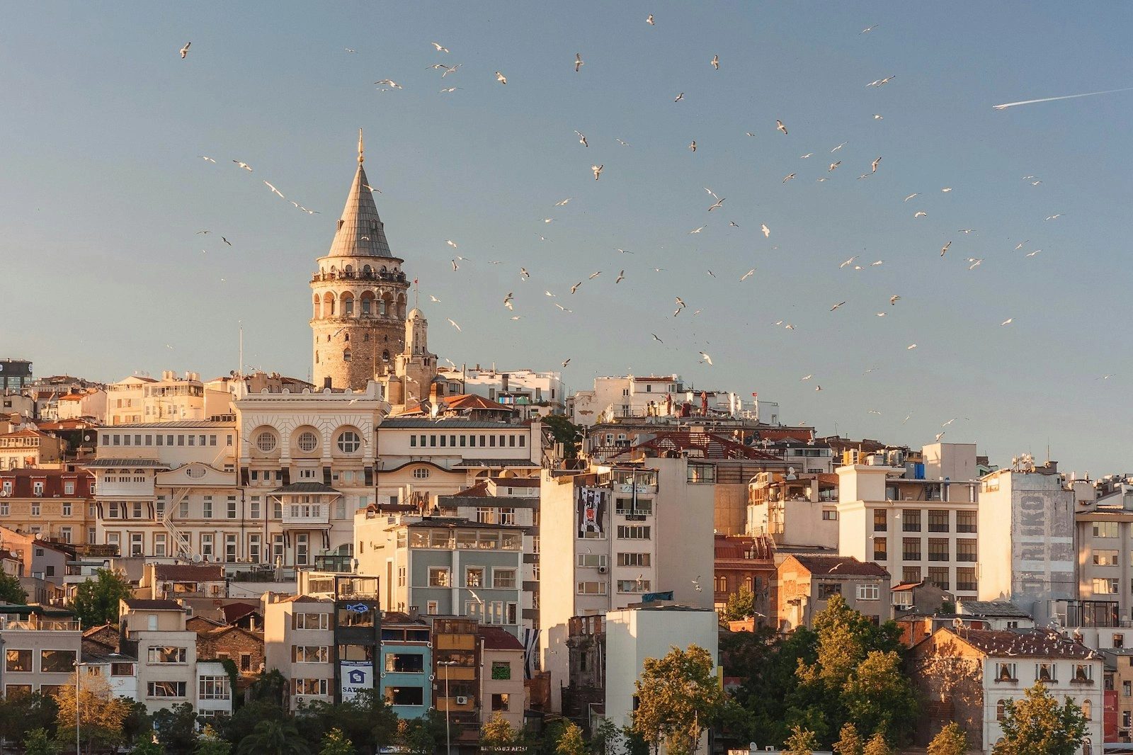 Easy Life İstanbul - Türkiye