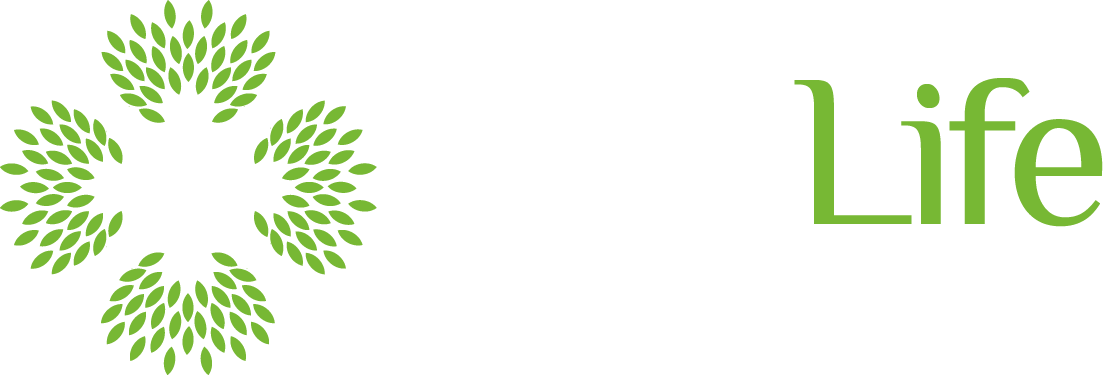 Easy Life